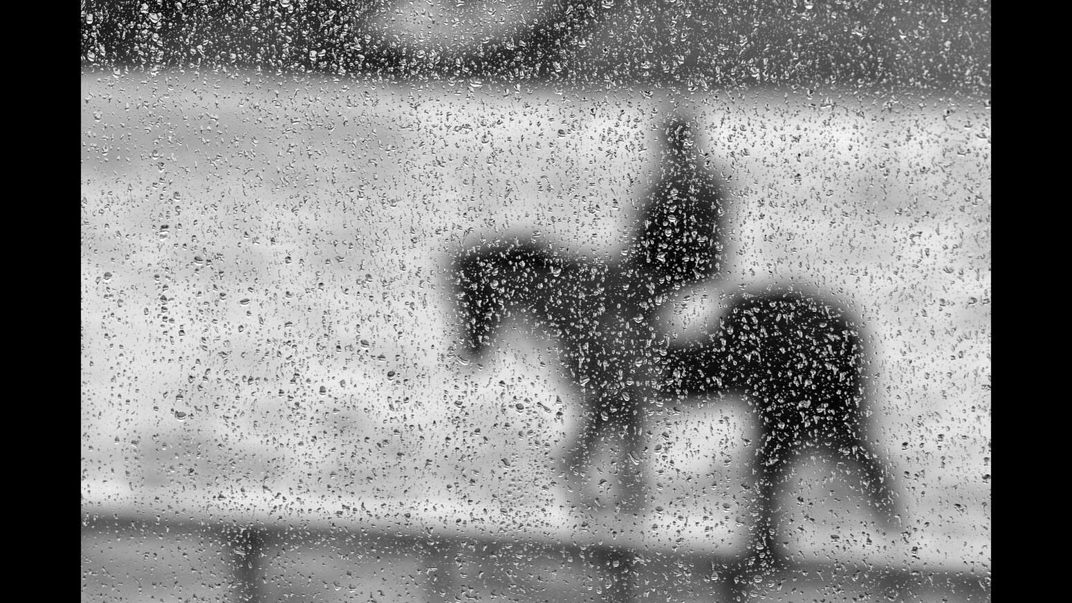 Preakness photos from years past